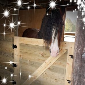 Meet your Posher, Jan